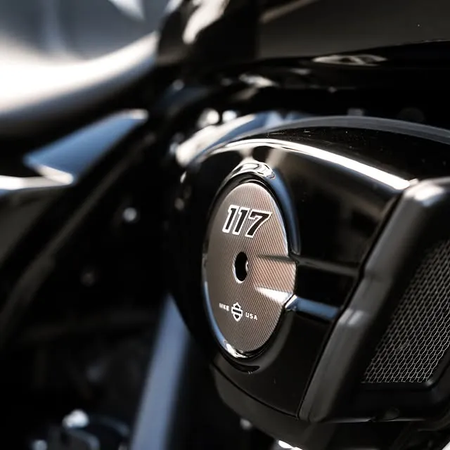 HARLEY-DAVIDSON - asset 4